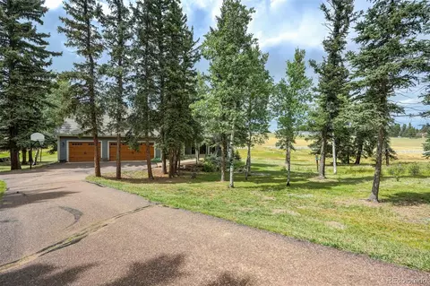 191 Joshua Rd, Divide, CO 80814 photo 50
