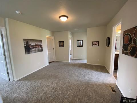 47393 Lily Ave, Bennett, CO 80102 photo 35
