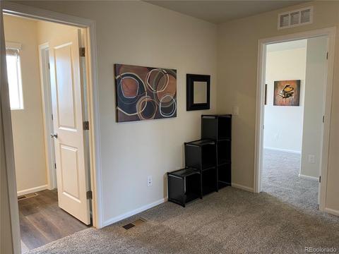 47393 Lily Ave, Bennett, CO 80102 photo 9