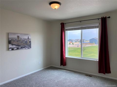 47393 Lily Ave, Bennett, CO 80102 photo 18
