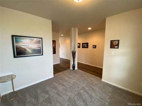 47393 Lily Ave, Bennett, CO 80102 photo 37