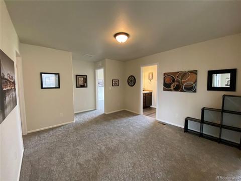 47393 Lily Ave, Bennett, CO 80102 photo 30