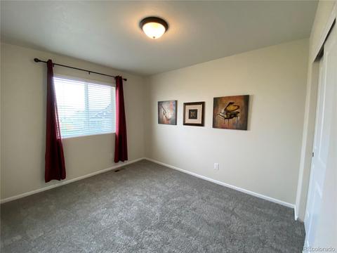 47393 Lily Ave, Bennett, CO 80102 photo 20