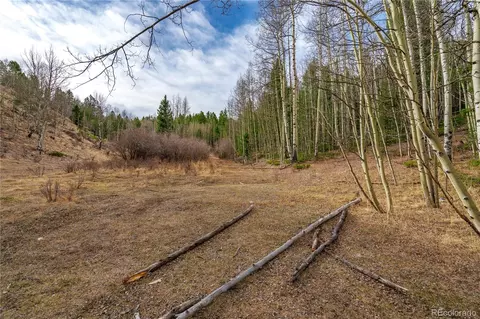 130 Grey Eagle Way, Cripple Creek, CO 80813