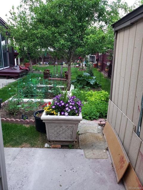 9456 Steele Dr, Thornton, CO 80229 photo 37