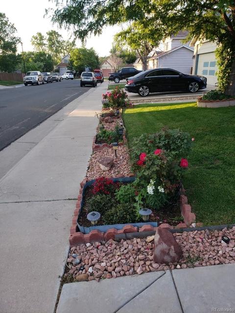 9456 Steele Dr, Thornton, CO 80229 photo 38