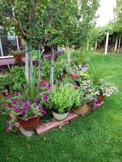 9456 Steele Dr, Thornton, CO 80229 photo 35
