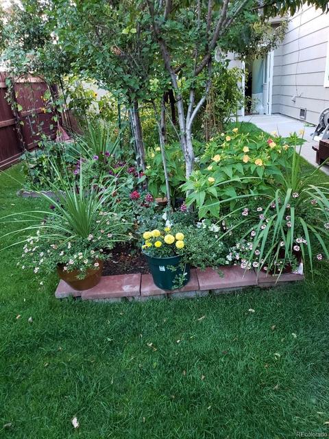 9456 Steele Dr, Thornton, CO 80229 photo 32