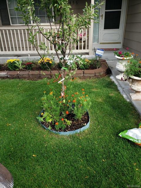 9456 Steele Dr, Thornton, CO 80229 photo 33