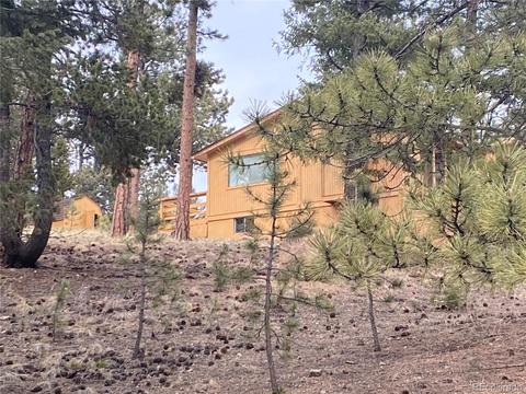 856 Gunsmoke Dr, Bailey, CO 80421 photo 7