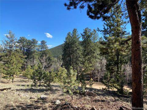 856 Gunsmoke Dr, Bailey, CO 80421 photo 33