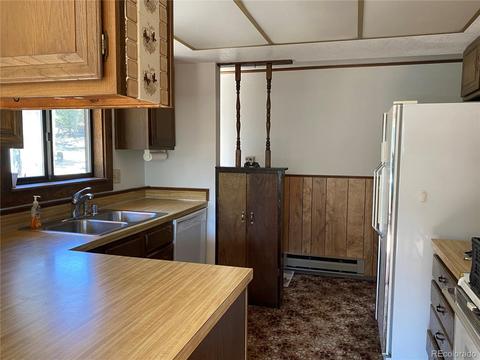 856 Gunsmoke Dr, Bailey, CO 80421 photo 13