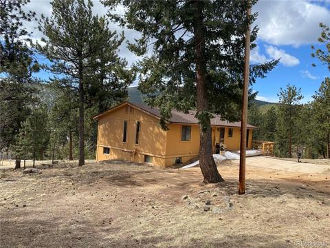 856 Gunsmoke Dr, Bailey, CO 80421 photo 10