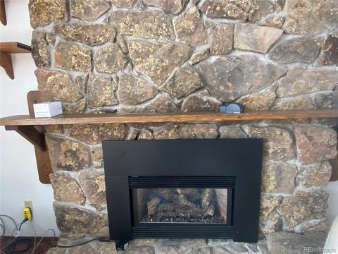 856 Gunsmoke Dr, Bailey, CO 80421 photo 19