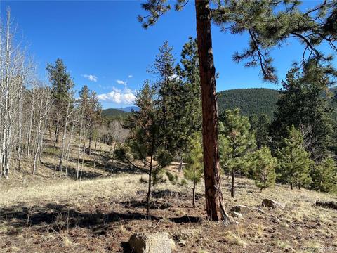 856 Gunsmoke Dr, Bailey, CO 80421 photo 31