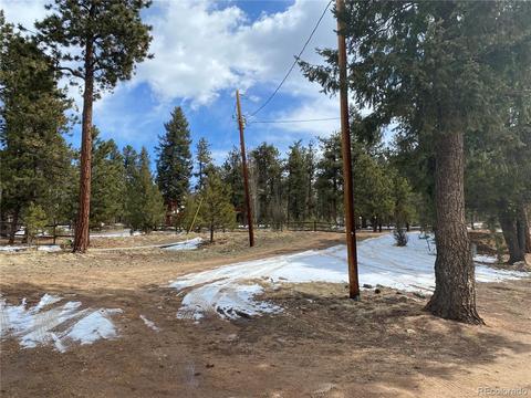 856 Gunsmoke Dr, Bailey, CO 80421 photo 34