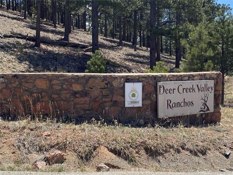 856 Gunsmoke Dr, Bailey, CO 80421 photo 36