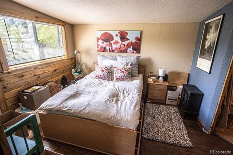 225 Sullivan St, Bailey, CO 80421 photo 6