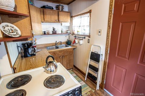 225 Sullivan St, Bailey, CO 80421 photo 7