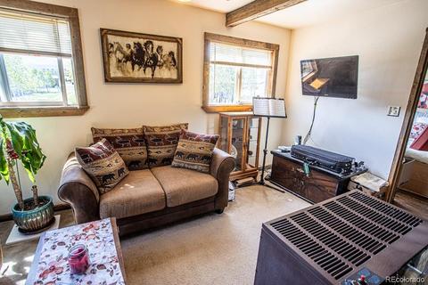 225 Sullivan St, Bailey, CO 80421 photo 10