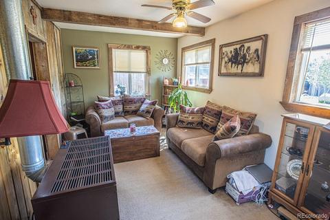 225 Sullivan St, Bailey, CO 80421 photo 5
