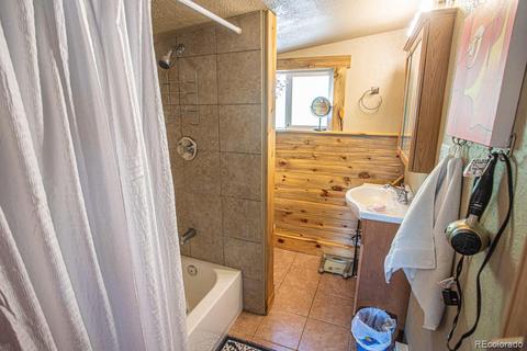 225 Sullivan St, Bailey, CO 80421 photo 8