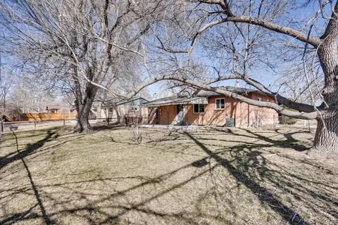 6607 Lee St, Arvada, CO 80004 photo 25