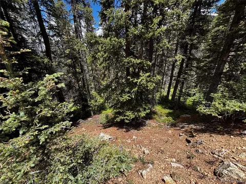 00 Forbes Rd, Fort Garland, CO 81133