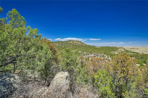 Rikki Rowdy Place, Aguilar, CO 81020