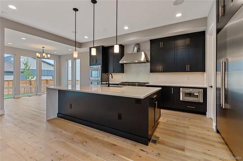 9986 E 59th Pl, Denver, CO 80238 photo 10