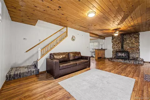 Living - 145 Bailey Dr, Bailey, CO 80421 photo 3 of 4