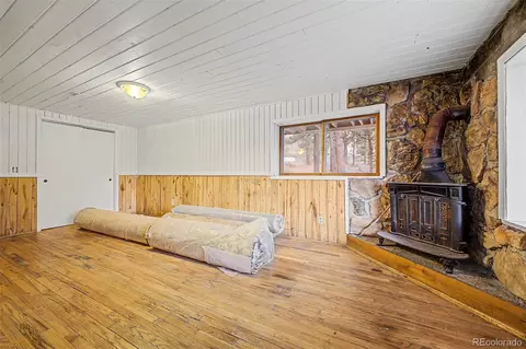Other - 145 Bailey Dr, Bailey, CO 80421 photo 7 of 11