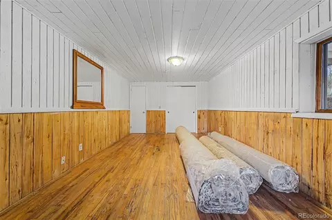 Other - 145 Bailey Dr, Bailey, CO 80421 photo 8 of 11