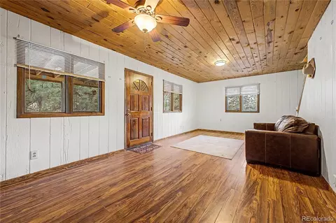 Living - 145 Bailey Dr, Bailey, CO 80421 photo 1 of 4