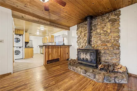Living - 145 Bailey Dr, Bailey, CO 80421 photo 4 of 4