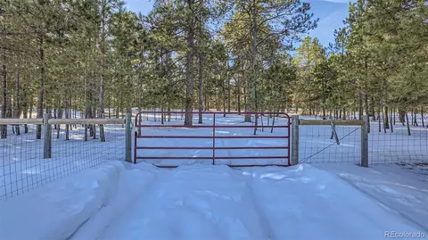 16635 Hightree Dr, Elbert, CO 80106 photo 41