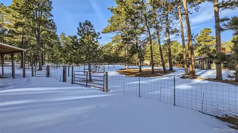 16635 Hightree Dr, Elbert, CO 80106 photo 36