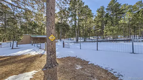 16635 Hightree Dr, Elbert, CO 80106 photo 38