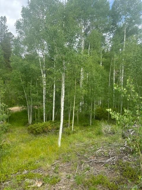 842 County Rd 859  
