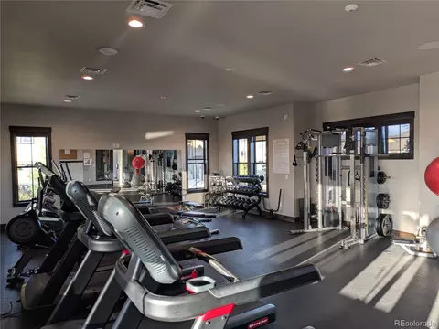 Other - 6618 Crystal Downs Dr #201, Windsor, CO 80550 photo 5 of 9
