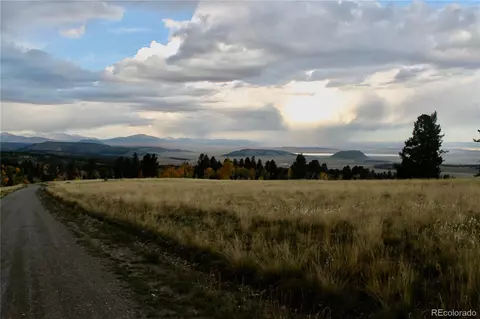 304 Kaufman Rd, Hartsel, CO 80449