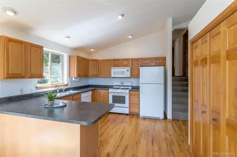 1052 S Pine Dr, Bailey, CO 80421 photo 15