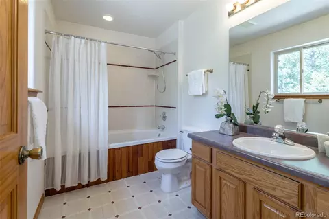 1052 S Pine Dr, Bailey, CO 80421 photo 19