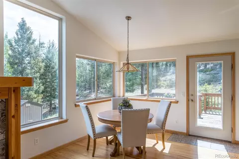 1052 S Pine Dr, Bailey, CO 80421 photo 9