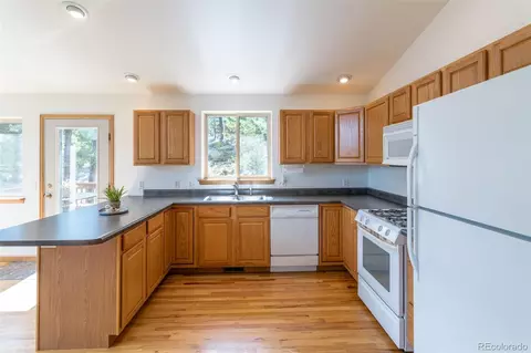 1052 S Pine Dr, Bailey, CO 80421 photo 16