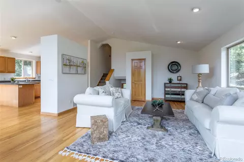 1052 S Pine Dr, Bailey, CO 80421 photo 13