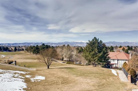 8618 Colonial Dr, Lone Tree, CO 80124 photo 38