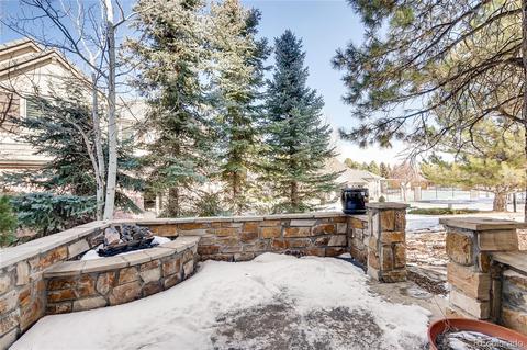 8618 Colonial Dr, Lone Tree, CO 80124 photo 34