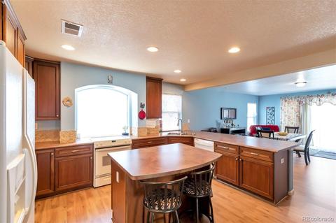 21425 E 55th Ave, Denver, CO 80249 photo 5