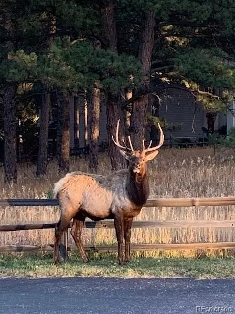 Other - 34 Normandy Rd, Evergreen, CO 80439 photo 14 of 15